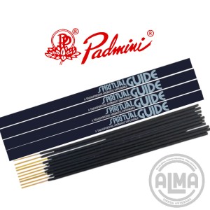 SPIRITUAL GUIDE CON LOGO PALMINI. Y ALMA